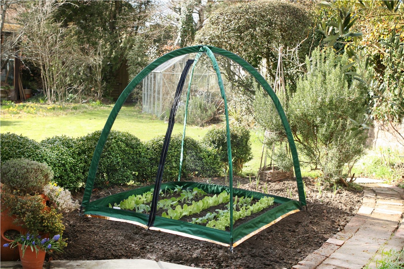 pest protection for garden