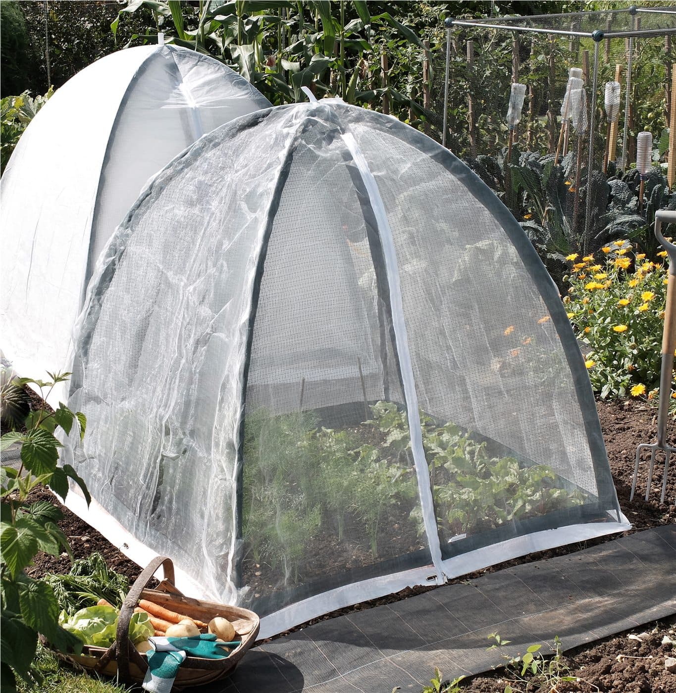 Insect netting