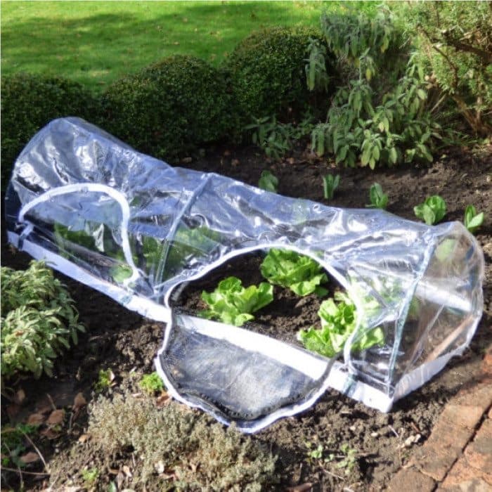 Cloche/ Mini Greenhouse  Tunnel Accessory