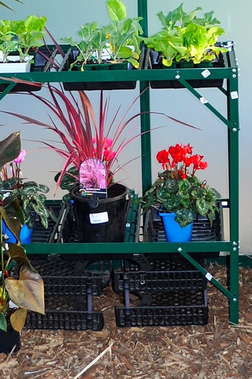 Aluminium Seedling Rack 2