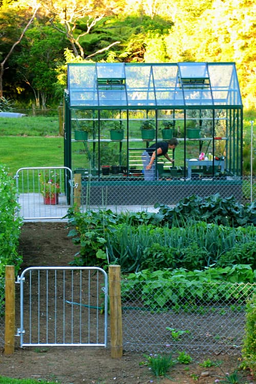Trulux Pinnacle glasshouse in a productive garden