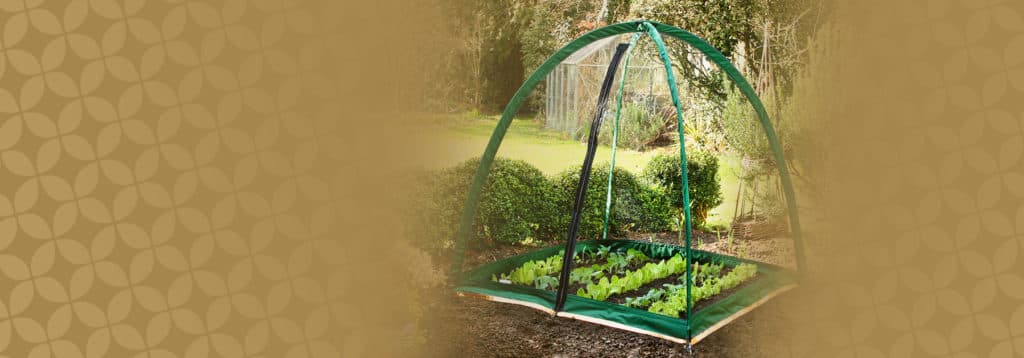 Popadome crop protection range in a garden