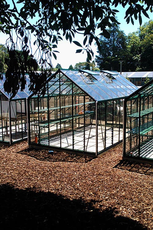 Trulux Maxi Glasshouse 4.9m x 3.1m view 2